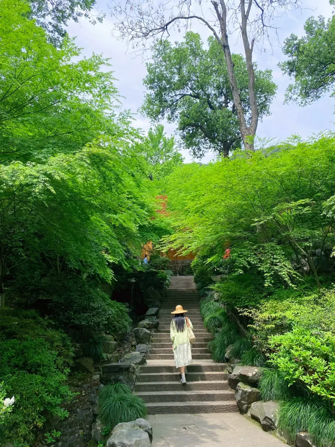 Forest trail leading toward North Peak above Lingyin Temple